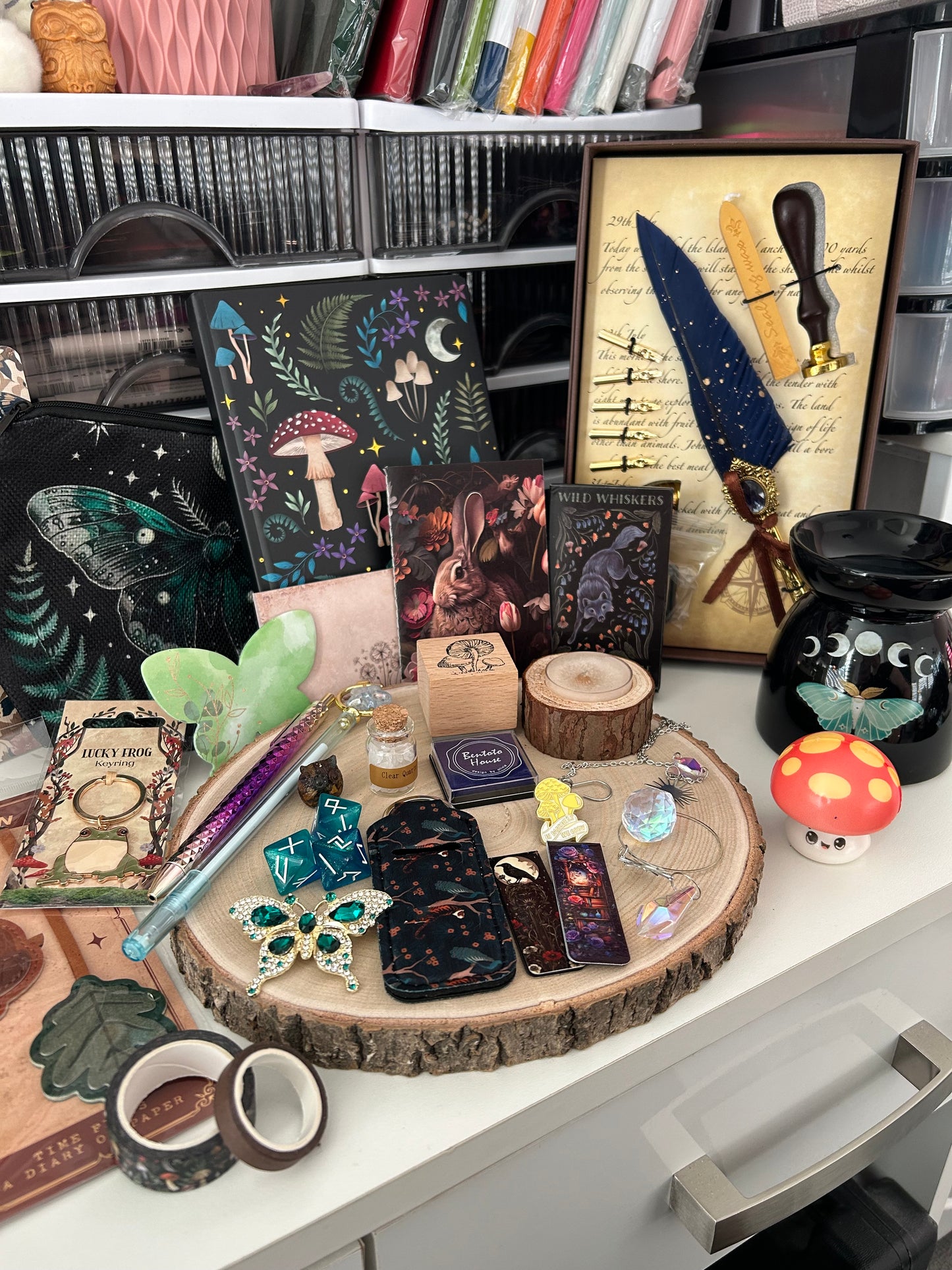 Dark Forest Enchanted Collection