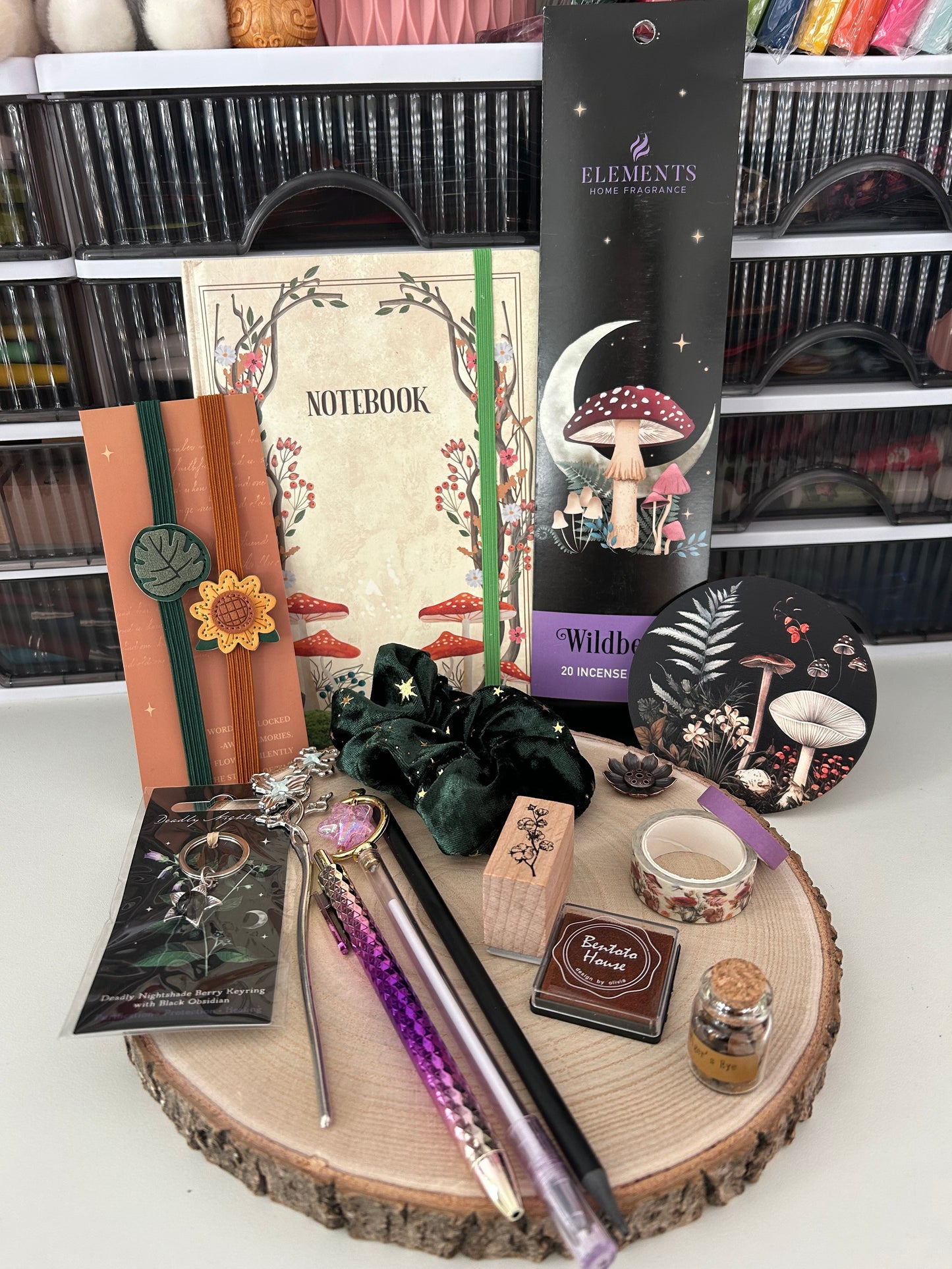 Dark Forest Enchanted Collection